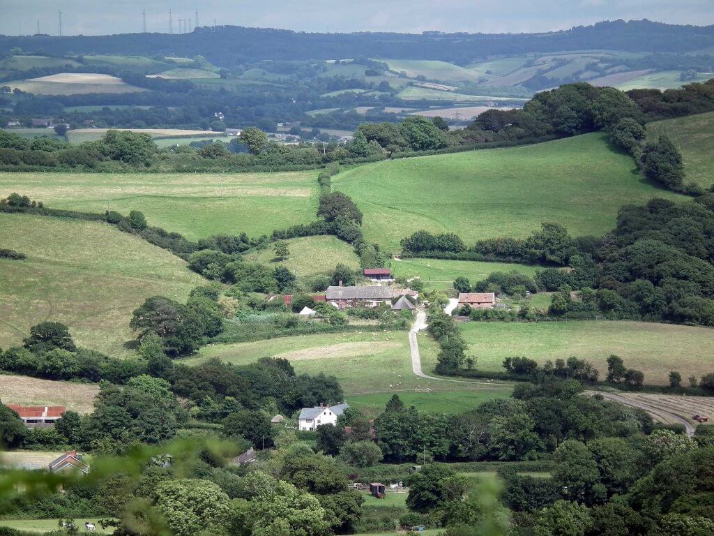 Magic of Hintock Trees, the Dorset Countryside